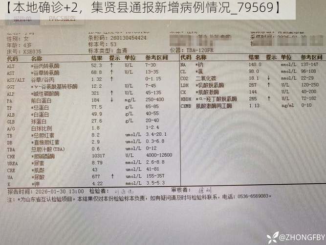 【本地确诊+2，集贤县通报新增病例情况_79569】