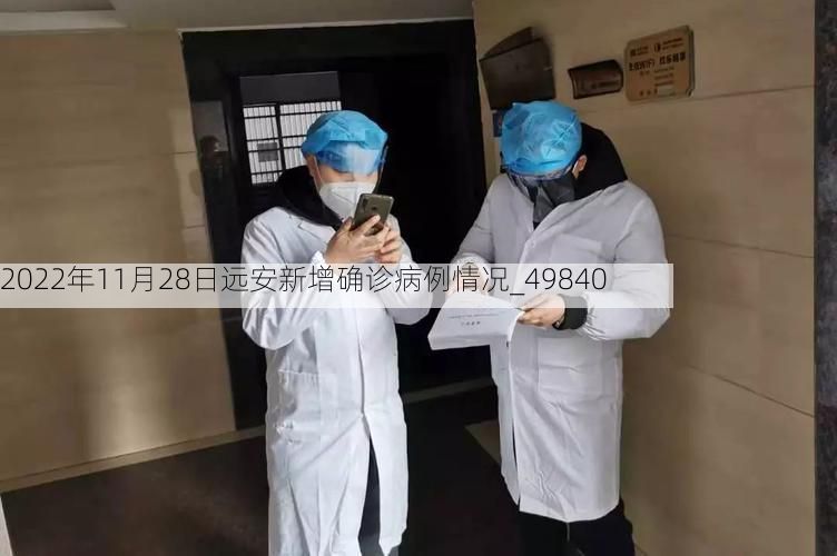 2022年11月28日远安新增确诊病例情况_49840