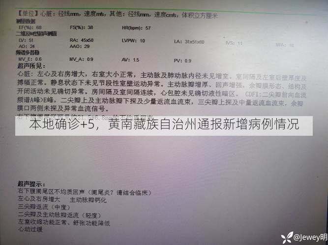 本地确诊+5，黄南藏族自治州通报新增病例情况