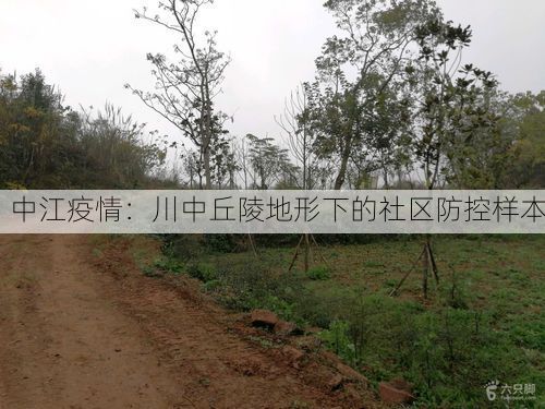 中江疫情:川中丘陵地形下的社区防控样本