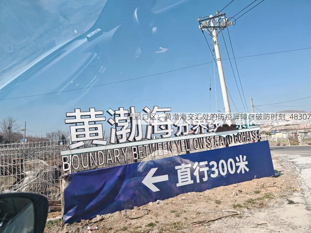 旅顺口区：黄渤海交汇处的防疫屏障与破防时刻_48307