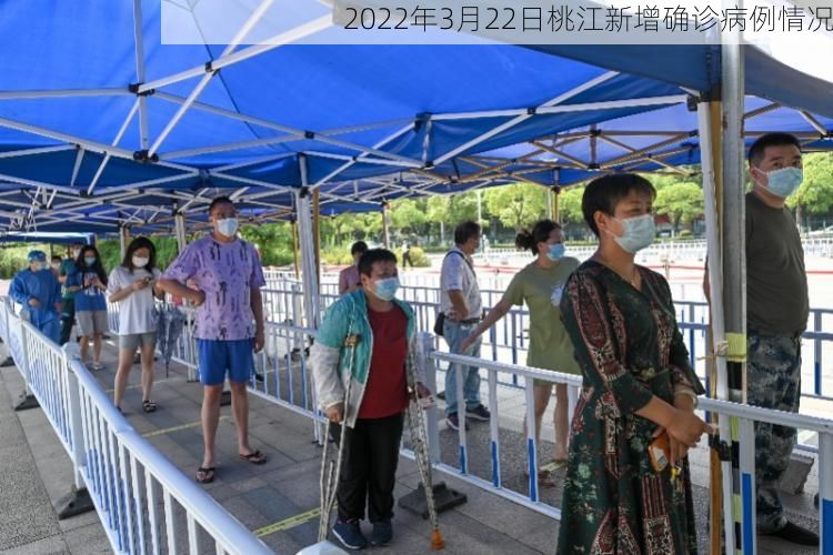 2022年3月22日桃江新增确诊病例情况