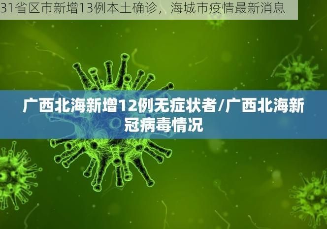 31省区市新增13例本土确诊,海城市疫情最新消息