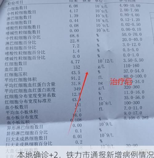 本地确诊+2，铁力市通报新增病例情况