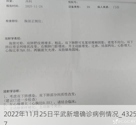 2022年11月25日平武新增确诊病例情况_43257