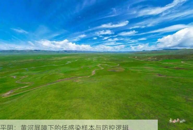 平阴:黄河屏障下的低感染样本与防控逻辑