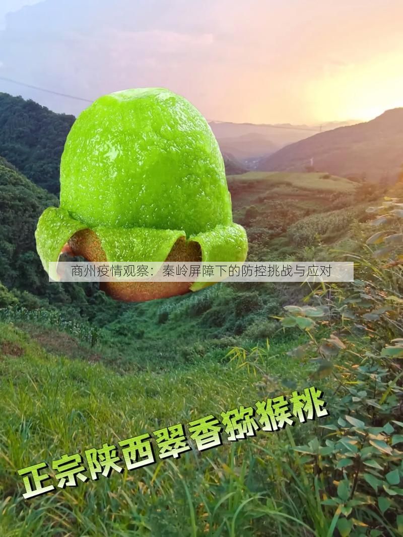 商州疫情观察：秦岭屏障下的防控挑战与应对