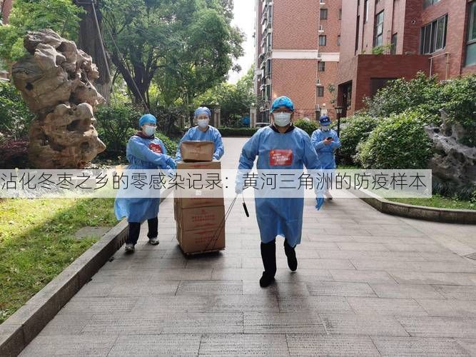 沾化冬枣之乡的零感染记录：黄河三角洲的防疫样本