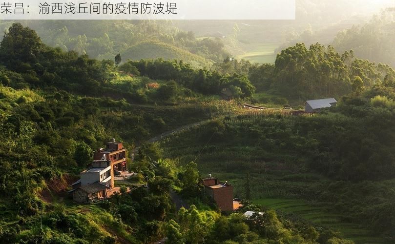 荣昌：渝西浅丘间的疫情防波堤