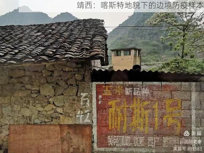 靖西：喀斯特地貌下的边境防疫样本