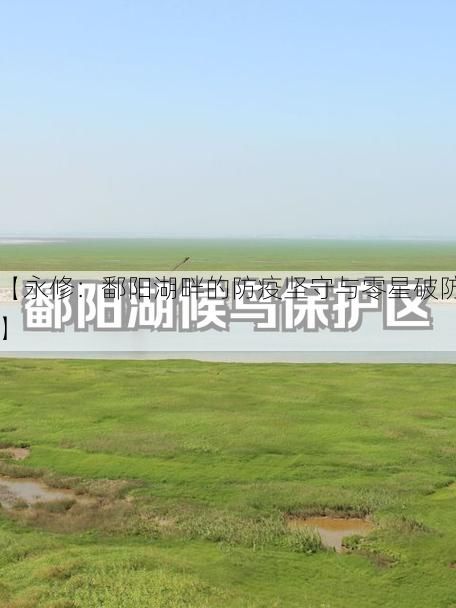 【永修:鄱阳湖畔的防疫坚守与零星破防】