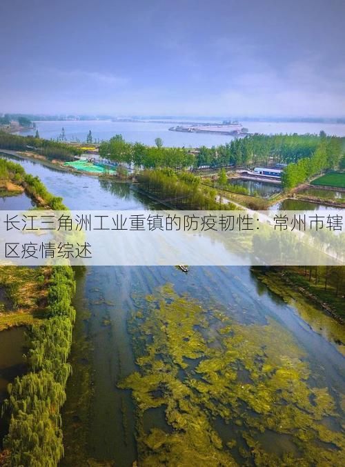 长江三角洲工业重镇的防疫韧性:常州市辖区疫情综述