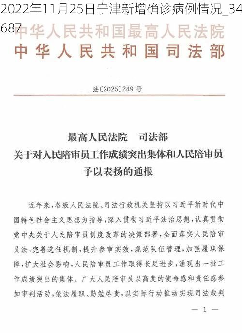 2022年11月25日宁津新增确诊病例情况_34687
