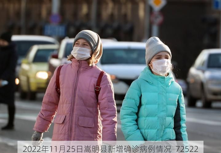 2022年11月25日嵩明县新增确诊病例情况_72522
