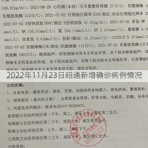 2022年11月23日昭通新增确诊病例情况