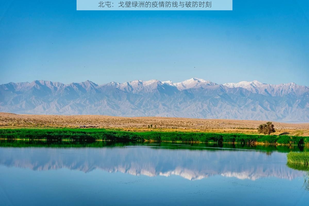北屯:戈壁绿洲的疫情防线与破防时刻