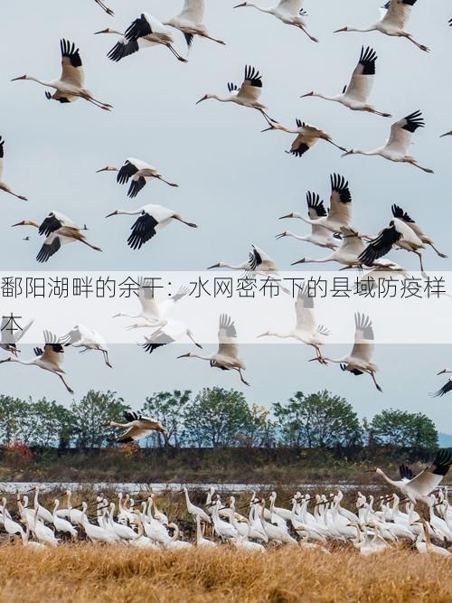 鄱阳湖畔的余干:水网密布下的县域防疫样本