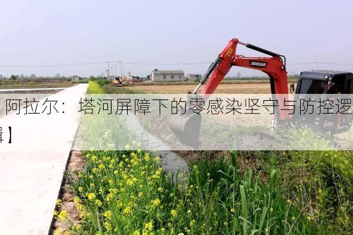 【阿拉尔：塔河屏障下的零感染坚守与防控逻辑】