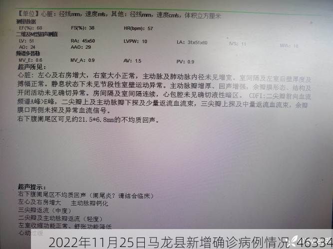 2022年11月25日马龙县新增确诊病例情况_46334