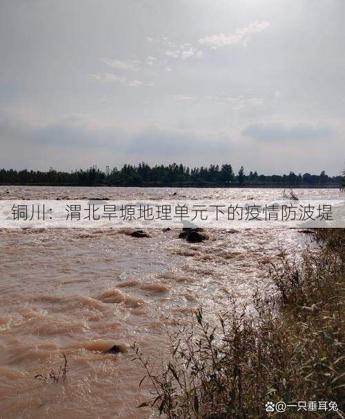铜川:渭北旱塬地理单元下的疫情防波堤
