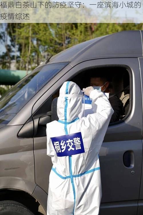 福鼎白茶山下的防疫坚守：一座滨海小城的疫情综述