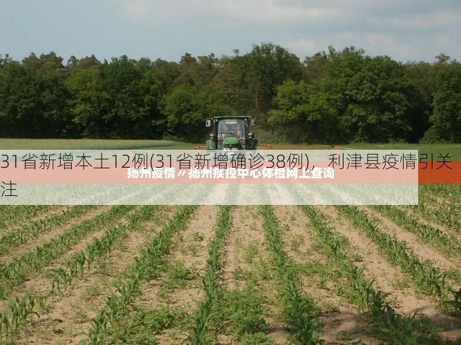 31省新增本土12例(31省新增确诊38例),利津县疫情引关注
