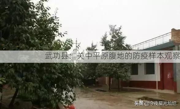 武功县：关中平原腹地的防疫样本观察