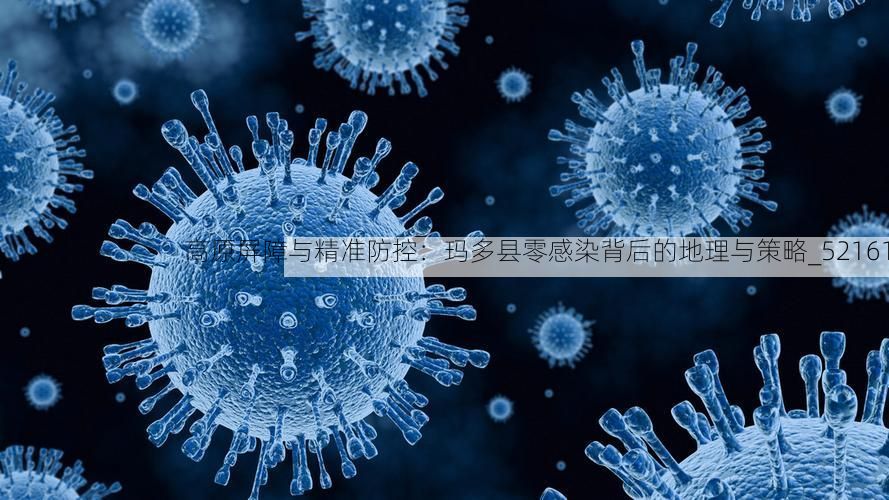 高原屏障与精准防控:玛多县零感染背后的地理与策略_52161