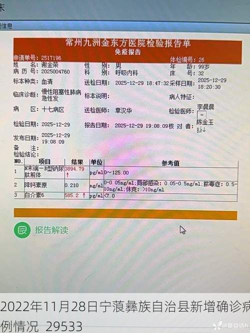 2022年11月28日宁蒗彝族自治县新增确诊病例情况_29533
