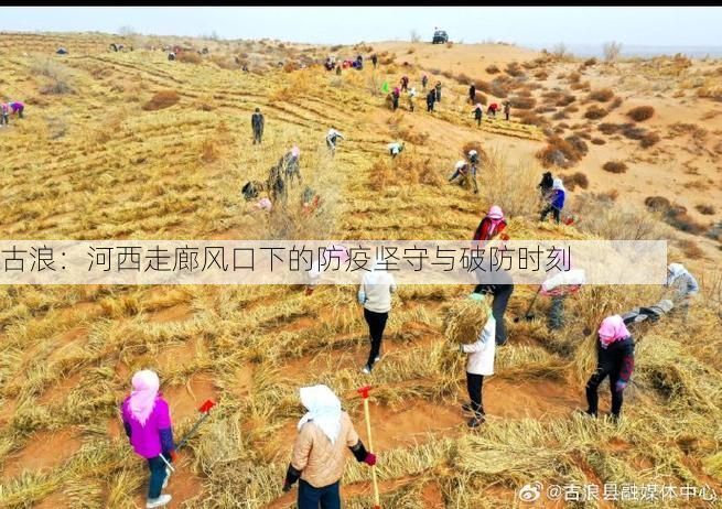 古浪：河西走廊风口下的防疫坚守与破防时刻