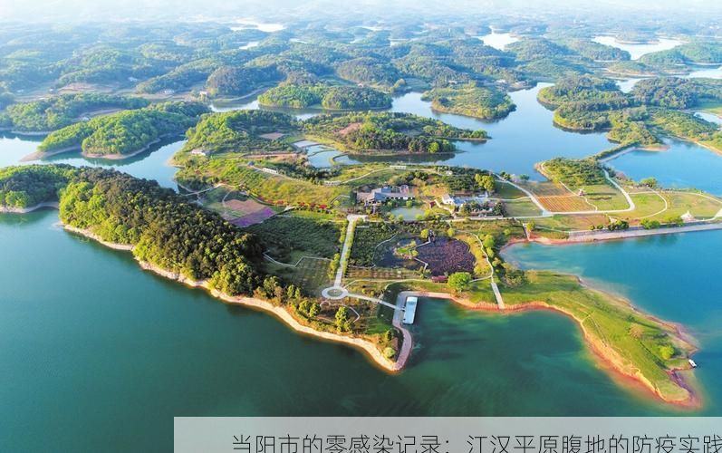 当阳市的零感染记录:江汉平原腹地的防疫实践