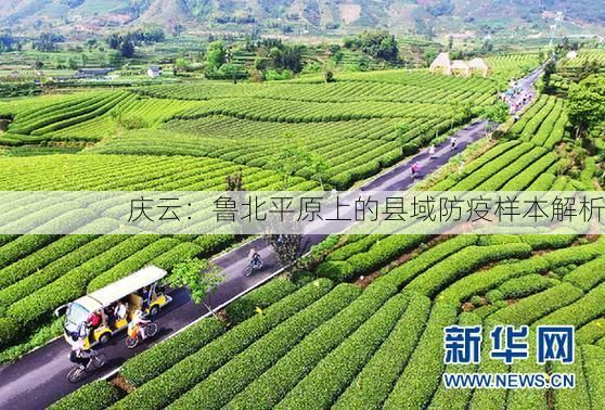 庆云:鲁北平原上的县域防疫样本解析