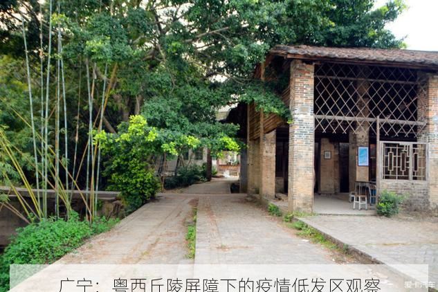 广宁：粤西丘陵屏障下的疫情低发区观察
