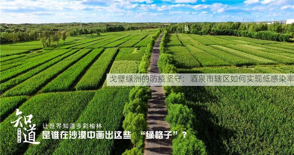 戈壁绿洲的防疫坚守:酒泉市辖区如何实现低感染率