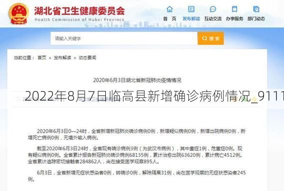 2022年8月7日临高县新增确诊病例情况_9111