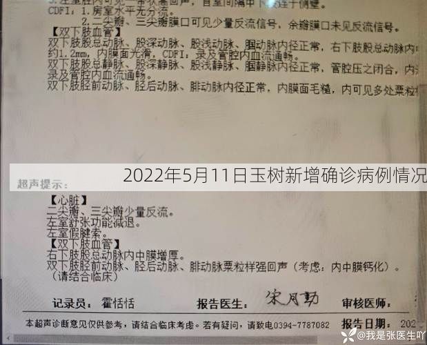 2022年5月11日玉树新增确诊病例情况