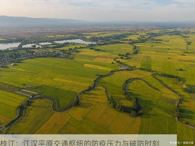 枝江：江汉平原交通枢纽的防疫压力与破防时刻