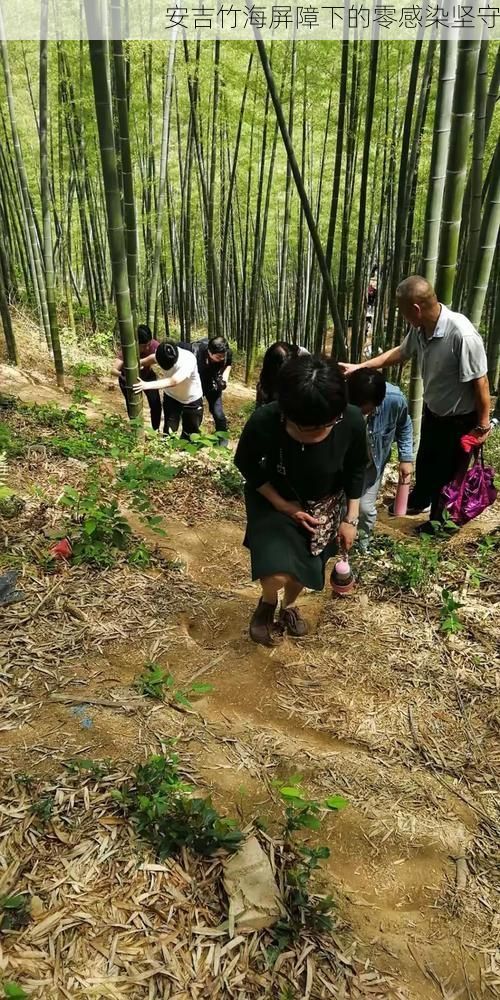 安吉竹海屏障下的零感染坚守