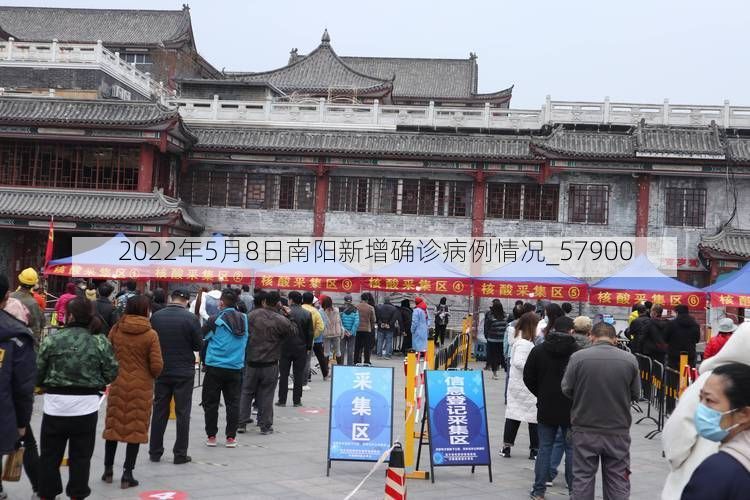2022年5月8日南阳新增确诊病例情况_57900
