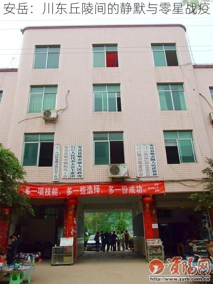 安岳:川东丘陵间的静默与零星战疫