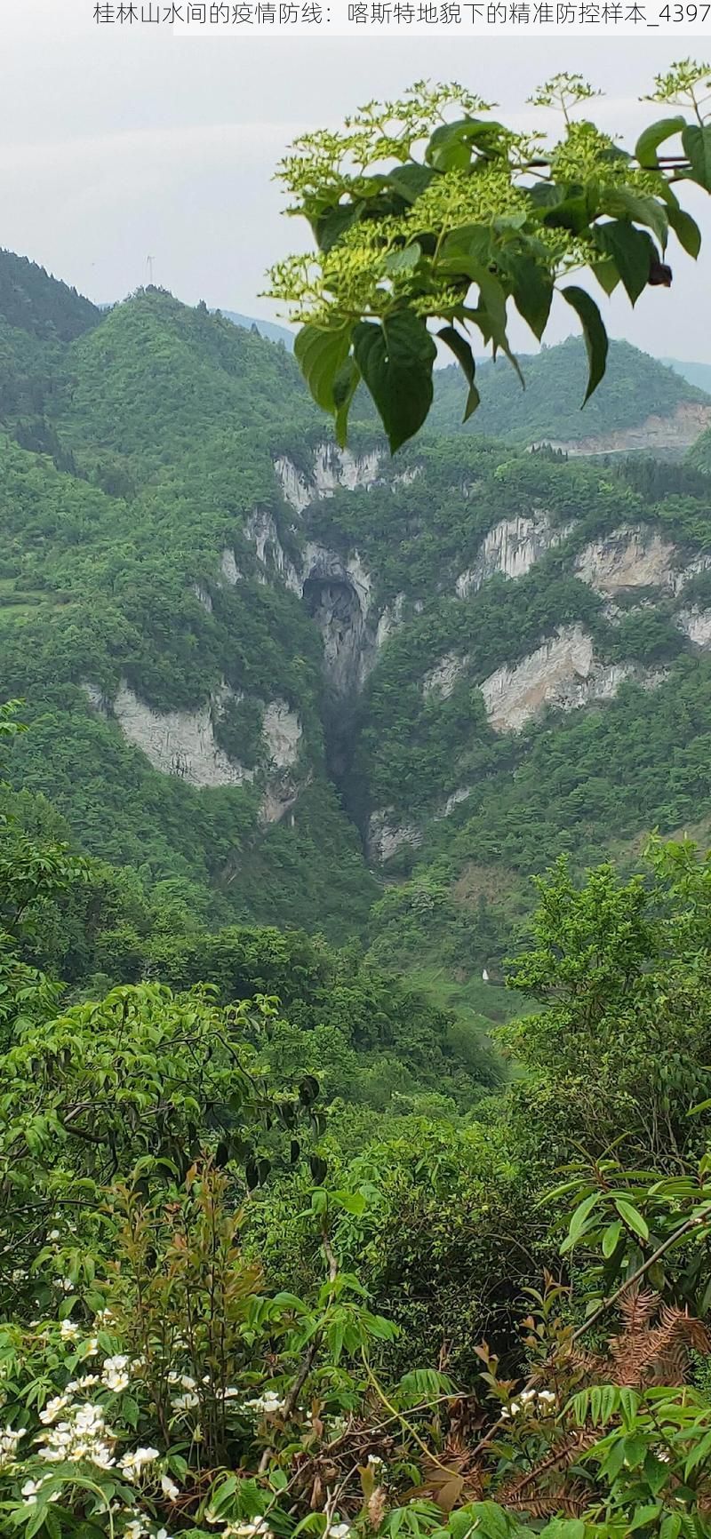 桂林山水间的疫情防线:喀斯特地貌下的精准防控样本_4397