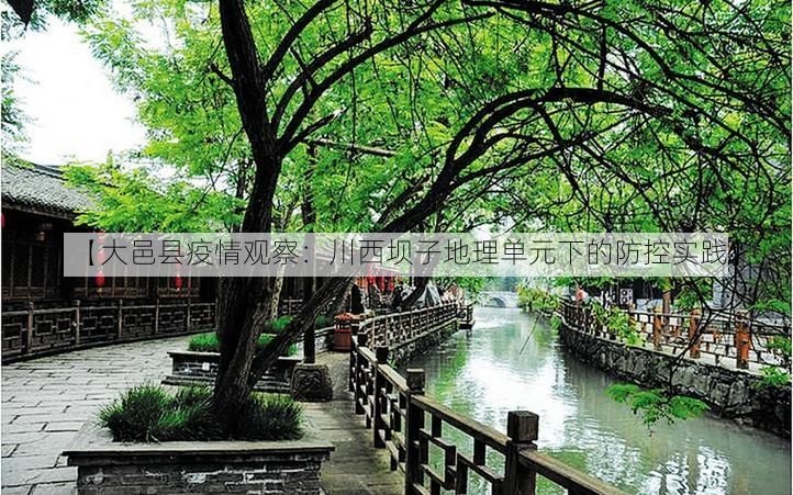 【大邑县疫情观察:川西坝子地理单元下的防控实践】