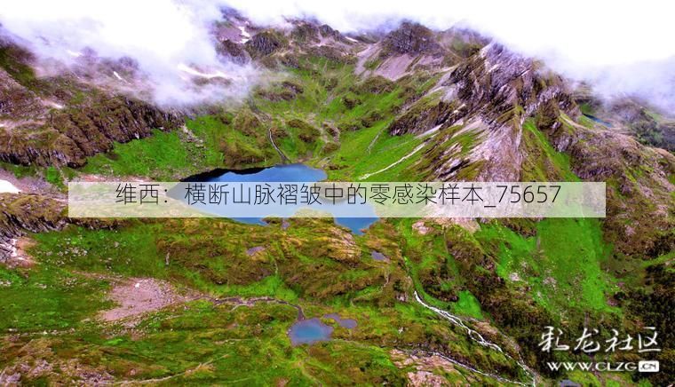 维西:横断山脉褶皱中的零感染样本_75657