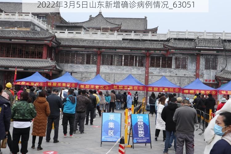 2022年3月5日山东新增确诊病例情况_63051