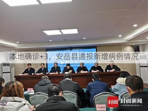 本地确诊+3,安岳县通报新增病例情况