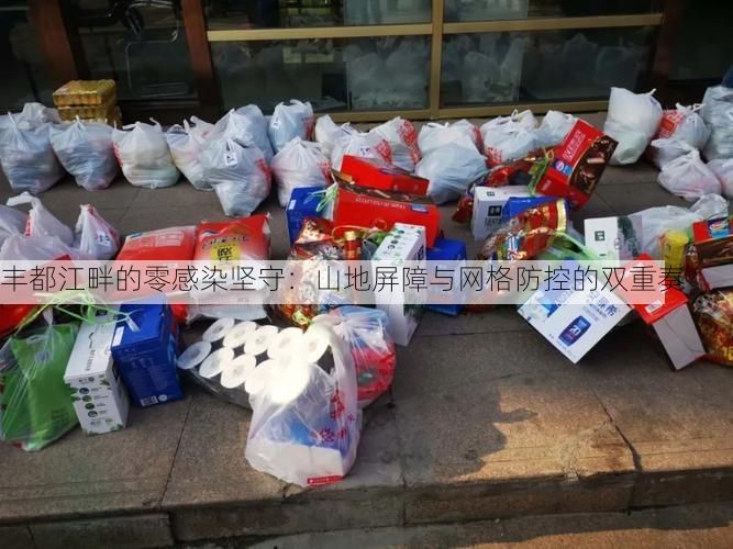 丰都江畔的零感染坚守:山地屏障与网格防控的双重奏