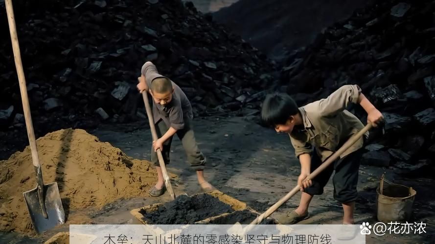 木垒：天山北麓的零感染坚守与物理防线