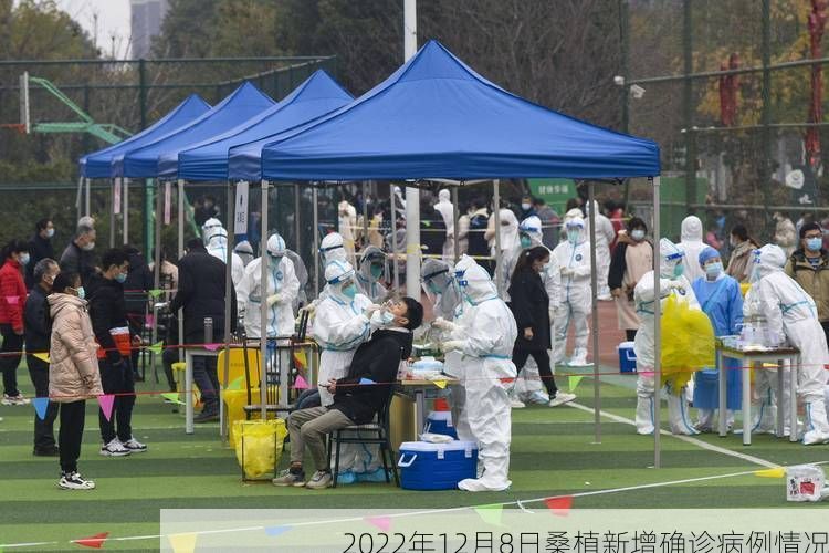 2022年12月8日桑植新增确诊病例情况