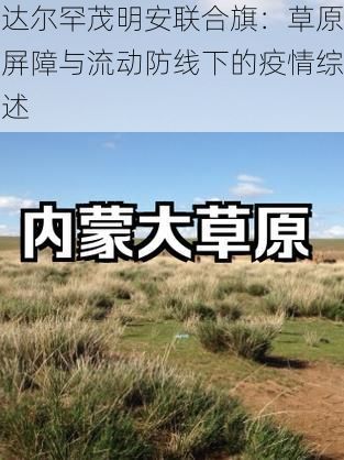 达尔罕茂明安联合旗:草原屏障与流动防线下的疫情综述