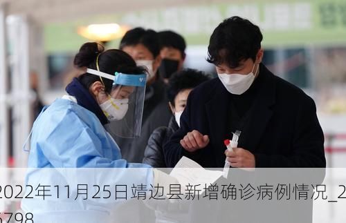 2022年11月25日靖边县新增确诊病例情况_26798